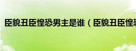 臣貌丑臣惶恐男主是谁（臣貌丑臣惶恐txt）
