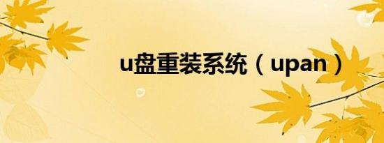 u盘重装系统（upan）