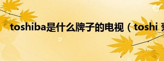 toshiba是什么牌子的电视（toshi 菊池）