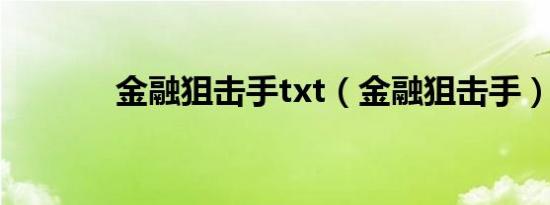 金融狙击手txt（金融狙击手）