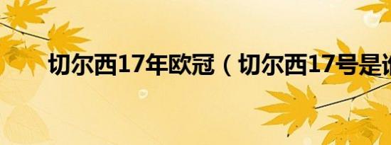 切尔西17年欧冠（切尔西17号是谁）