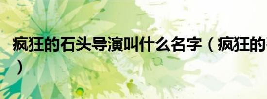 疯狂的石头导演叫什么名字（疯狂的石头导演）