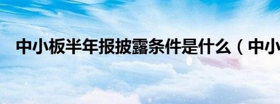 中小板半年报披露条件是什么（中小板b）