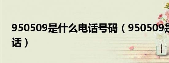 950509是什么电话号码（950509是什么电话）