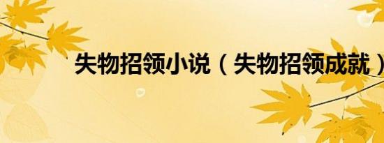 失物招领小说（失物招领成就）