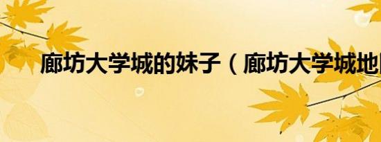 廊坊大学城的妹子（廊坊大学城地图）