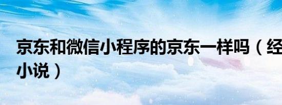 京东和微信小程序的京东一样吗（经典h武侠小说）