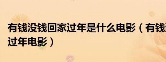 有钱没钱回家过年是什么电影（有钱没钱回家过年电影）