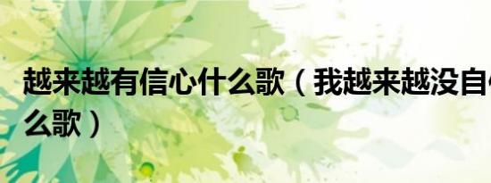 越来越有信心什么歌（我越来越没自信了是什么歌）