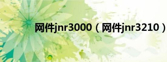 网件jnr3000（网件jnr3210）