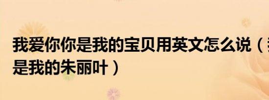 我爱你你是我的宝贝用英文怎么说（我爱你你是我的朱丽叶）