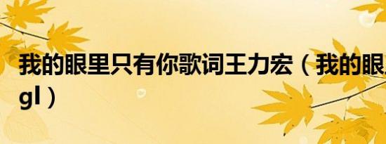 我的眼里只有你歌词王力宏（我的眼里只有你gl）