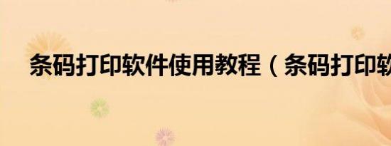 条码打印软件使用教程（条码打印软件）