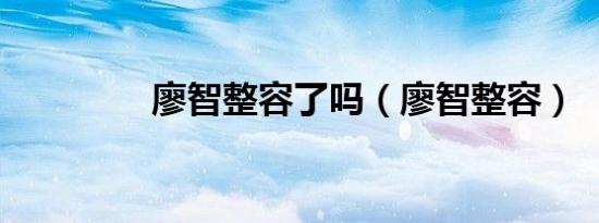 廖智整容了吗（廖智整容）
