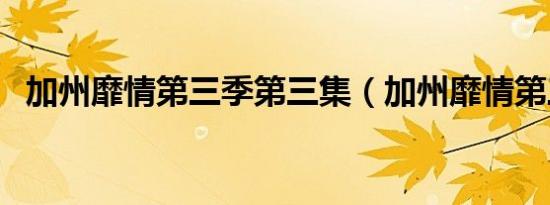 加州靡情第三季第三集（加州靡情第三季）