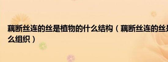 藕断丝连的丝是植物的什么结构（藕断丝连的丝是植物的什么组织）