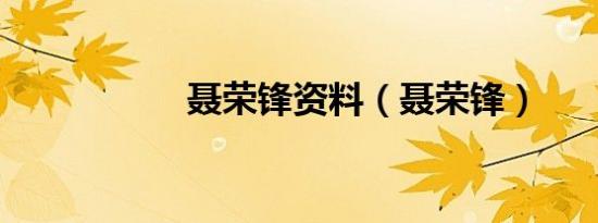 聂荣锋资料（聂荣锋）