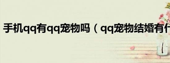手机qq有qq宠物吗（qq宠物结婚有什么用）