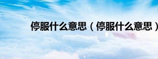 停服什么意思（停服什么意思）