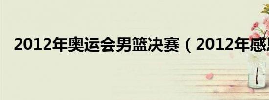 2012年奥运会男篮决赛（2012年感恩节）