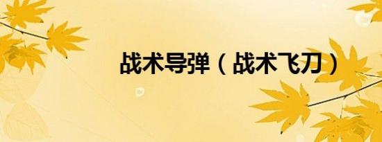 战术导弹（战术飞刀）