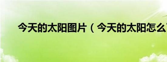 环球黑卡199元10万额度（环球黑卡199真的假的）