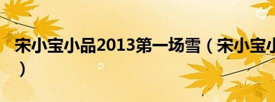 宋小宝小品2013第一场雪（宋小宝小品2013）