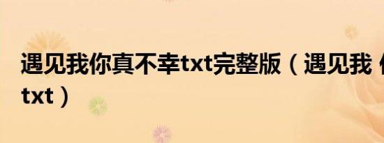 遇见我你真不幸txt完整版（遇见我 你真不幸txt）