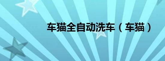 车猫全自动洗车（车猫）