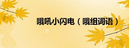 哦吼小闪电（哦组词语）