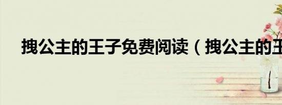 拽公主的王子免费阅读（拽公主的王子）