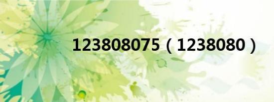 123808075（1238080）