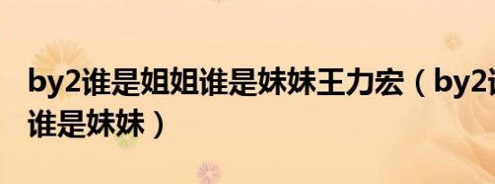 by2谁是姐姐谁是妹妹王力宏（by2谁是姐姐谁是妹妹）