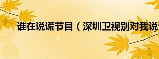 谁在说谎节目（深圳卫视别对我说谎）