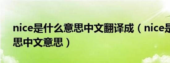nice是什么意思中文翻译成（nice是什么意思中文意思）