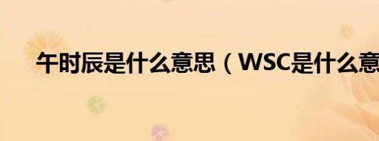 午时辰是什么意思（WSC是什么意思）