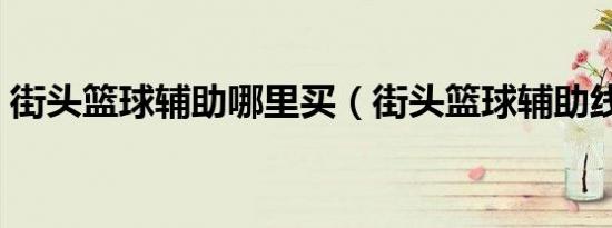 街头篮球辅助哪里买（街头篮球辅助线地图）