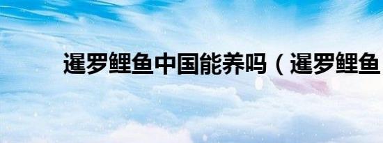 暹罗鲤鱼中国能养吗（暹罗鲤鱼）
