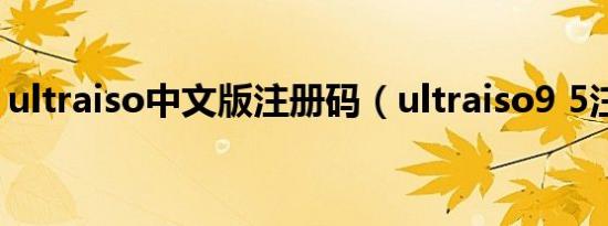 ultraiso中文版注册码（ultraiso9 5注册码）