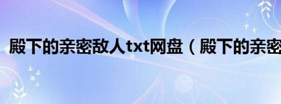 殿下的亲密敌人txt网盘（殿下的亲密敌人）