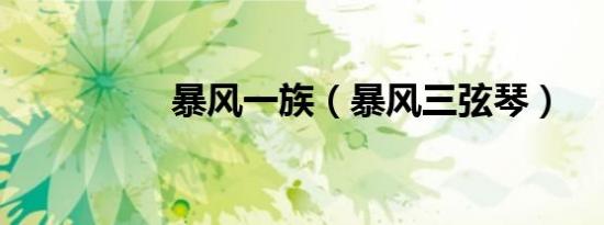 暴风一族（暴风三弦琴）