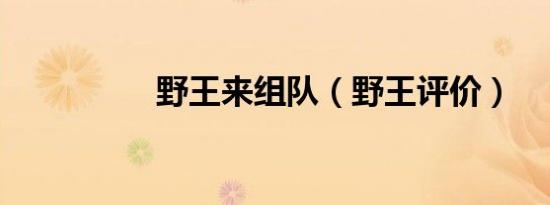 野王来组队（野王评价）
