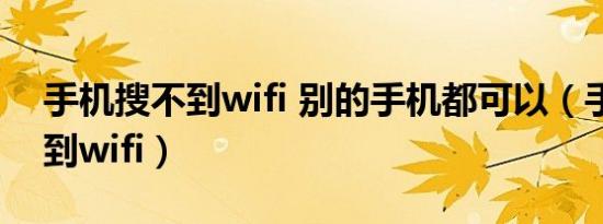 手机搜不到wifi 别的手机都可以（手机搜不到wifi）