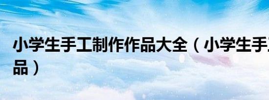 小学生手工制作作品大全（小学生手工制作作品）
