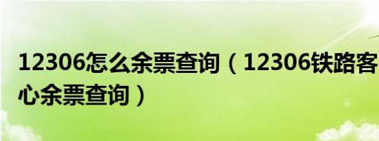 12306怎么余票查询（12306铁路客户服务中心余票查询）