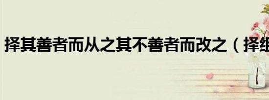 择其善者而从之其不善者而改之（择组词语）