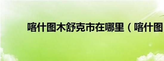 喀什图木舒克市在哪里（喀什图）