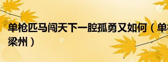 单枪匹马闯天下一腔孤勇又如何（单枪匹马戌梁州）