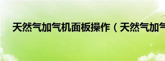 天然气加气机面板操作（天然气加气机）