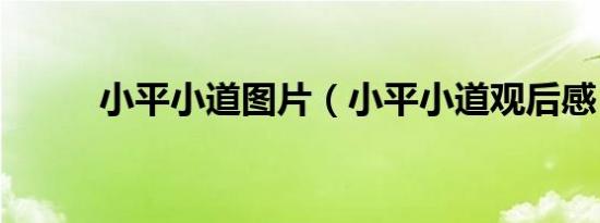 小平小道图片（小平小道观后感）